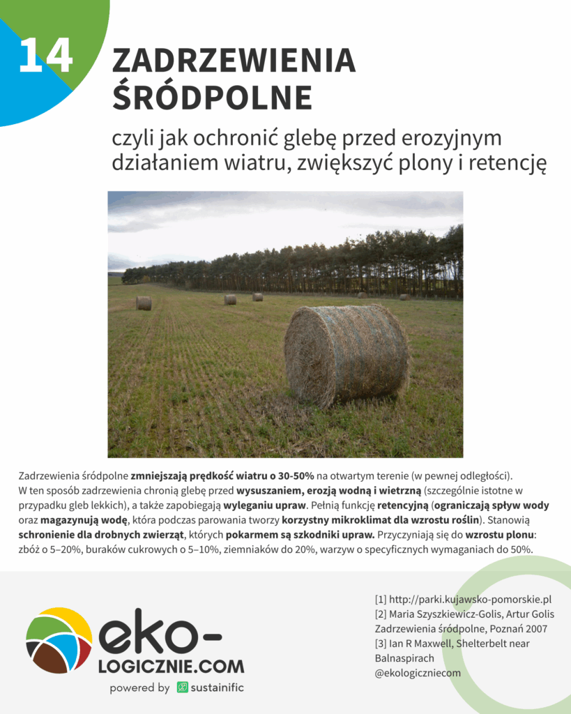 14 – zadrzewienia śródpolne