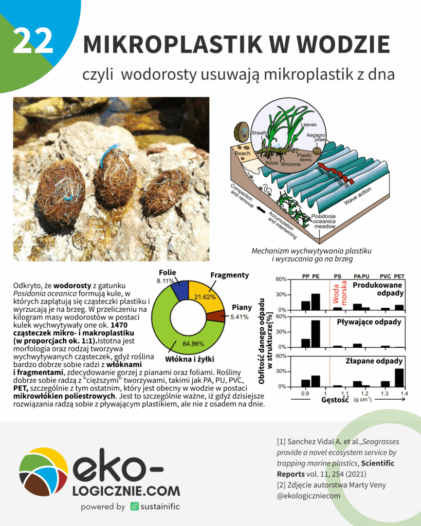 22 – mikroplastik w wodzie